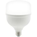Lampadina LED 20W E27 T80 6400K luce fredda Vito