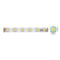 Striscia LED 14,4W/m 1200lm luce fredda 6500K  12V IP20 5m Vito