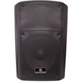 Cassa acustica passiva 250W 8 Ohm