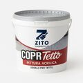 Pittura Acrilica per Tetti Grigio - Copri tetto