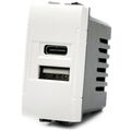 Doppia presa USB USB A - USB tipo C 5V 2.4A compatibile Living International