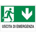 Cartello segnaletico uscita di emergenza 30x20cm