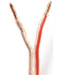 Cavo per Altoparlante 2x4mm² CCA 15m