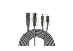 Cavo Audio XLR 2x Maschio a 3 Pin XLR 2x Maschio RCA 3m Grigio