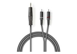 Cavo audio stereo 3,5mm maschio-2x maschio RCA 3m