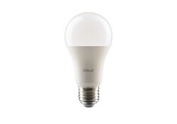 Lampadina LED Reer 10,5W E27 6500K