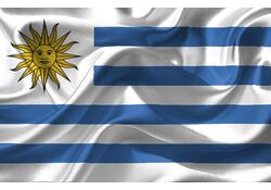 Bandiera Nazionale Uruguay 335x200cm