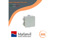 Marlanvil 005 -CASSETTA STAGNA IP65 100*100*50 cop/VITI INOX -6 PASSACAVI