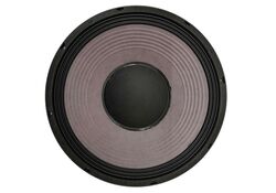 Woofer 31cm 12” 500W 6 OHM