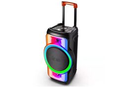 Cassa acustica trolley 100W Luce LED Bluetooth/USB/SD/FM con microfono