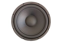 Woofer 12” 30,5cm 200W 8 OHM DS1265B-8