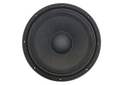 Woofer 10” 26cm 8 OHM 300W  WEDR1065-10