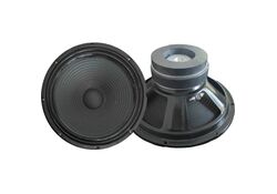 Woofer 10" 255mm 200W 4 Ohm doppio magnete