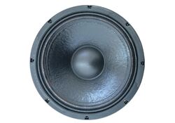 Woofer 12” 31cm 8Ohm 600W