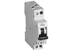 Interruttore magnetotermico 1P+N C20 20A Kanlux